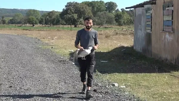 arnavutkoyde-martiya-eziyet-ayaklarini-kesip-dogaya-biraktilar-1632732906277.jpg Arnavutköy’de martıya eziyet! Ayaklarını kesip doğaya bıraktılar - 2