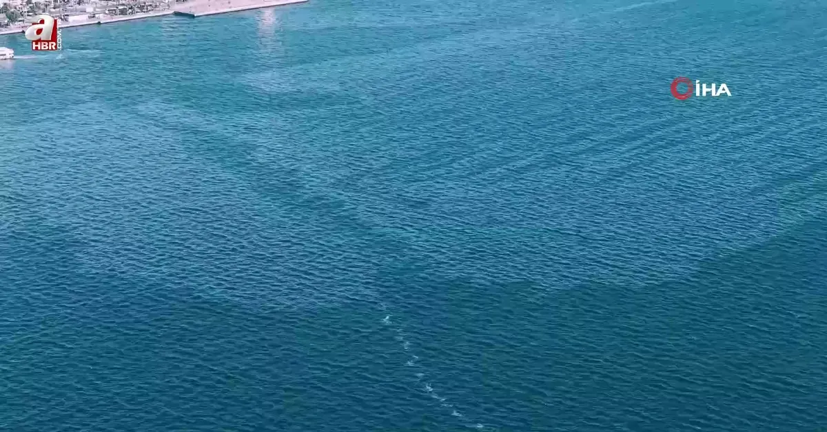 İzmir Körfezi'nde çevre kirliliği
