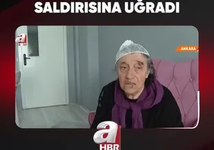 ⚠️ 8 KÖPEĞİN SALDIRISINA UĞRADI