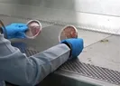 Milyonlarca insan kullanıyor! Sakın yapmayın