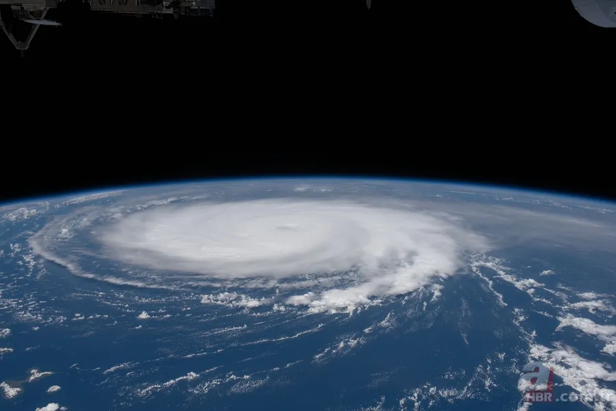 Okyanusun dibinde gizemli keşif! Böylesi ne duyuldu ne de görüldü 4