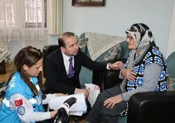 Aydın'da yaşlı çınarlar unutulmadı