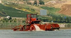 Mogan Gölü artık tertemiz!