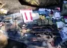 İnlerine girildi! Bakanlık görüntüleri az önce yayınladı