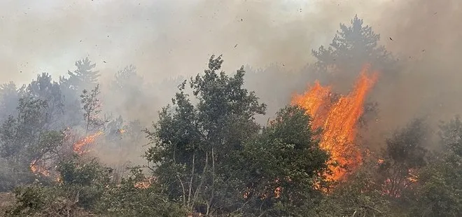 Eskişehir'de yangın faciası! 10 orman işçisi şehit oldu
