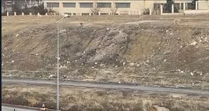 Başıboş köpek sürüsü 11 yaşındaki çocuğa saldırdı!