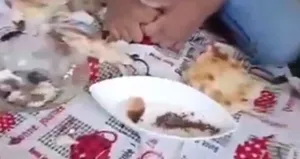 Çocuklara hayvan dışkısı yedirdiler iddiası