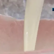 Püf noktasını A Haberde anlattı! Doğal ortamında...