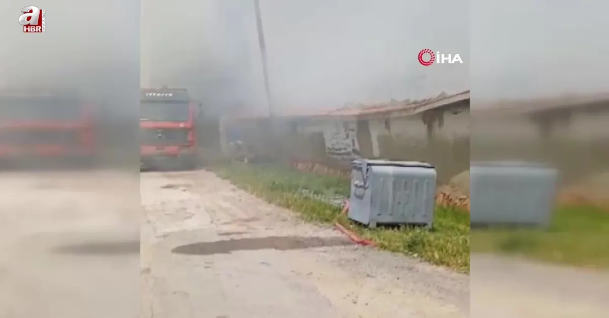 Yozgat'ta ahırda çıkan yangın paniğe neden oldu