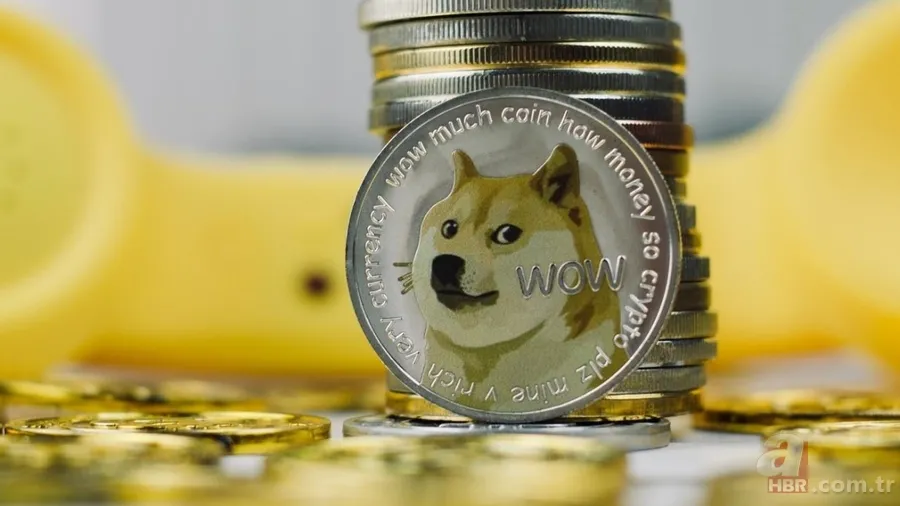 Shiba coine yeni tokenlerin etkisi... Shiba coin yakımı ne zaman? Shiba coin düşecek mi, artacak mı? 8