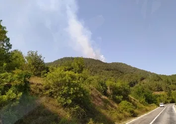 Samsun Bafra'da korkutan orman yangını