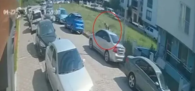Aydın'da başıboş dehşeti! Köpekten kaçarken otomobile çaptı