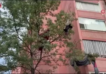 Karabük’te evden bir kamyon çöp çıktı