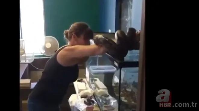 Her şey bir anda oldu! Dev piton yılanı bakıcısına böyle saldırdı 6