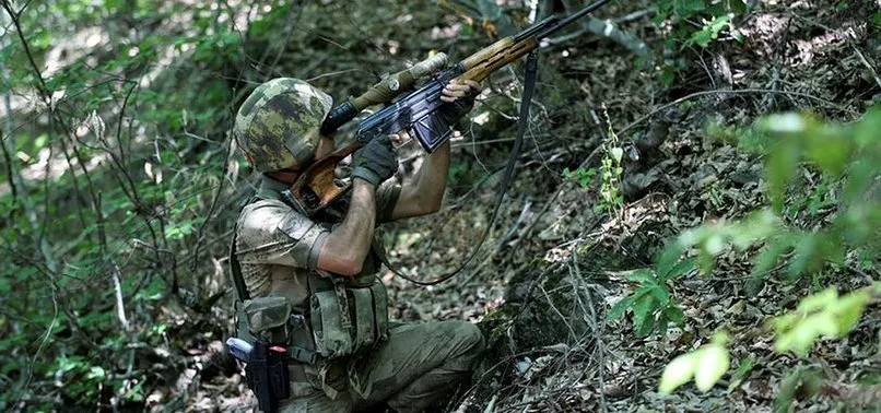 Doğu Karadeniz'de PKK'ya büyük operasyon