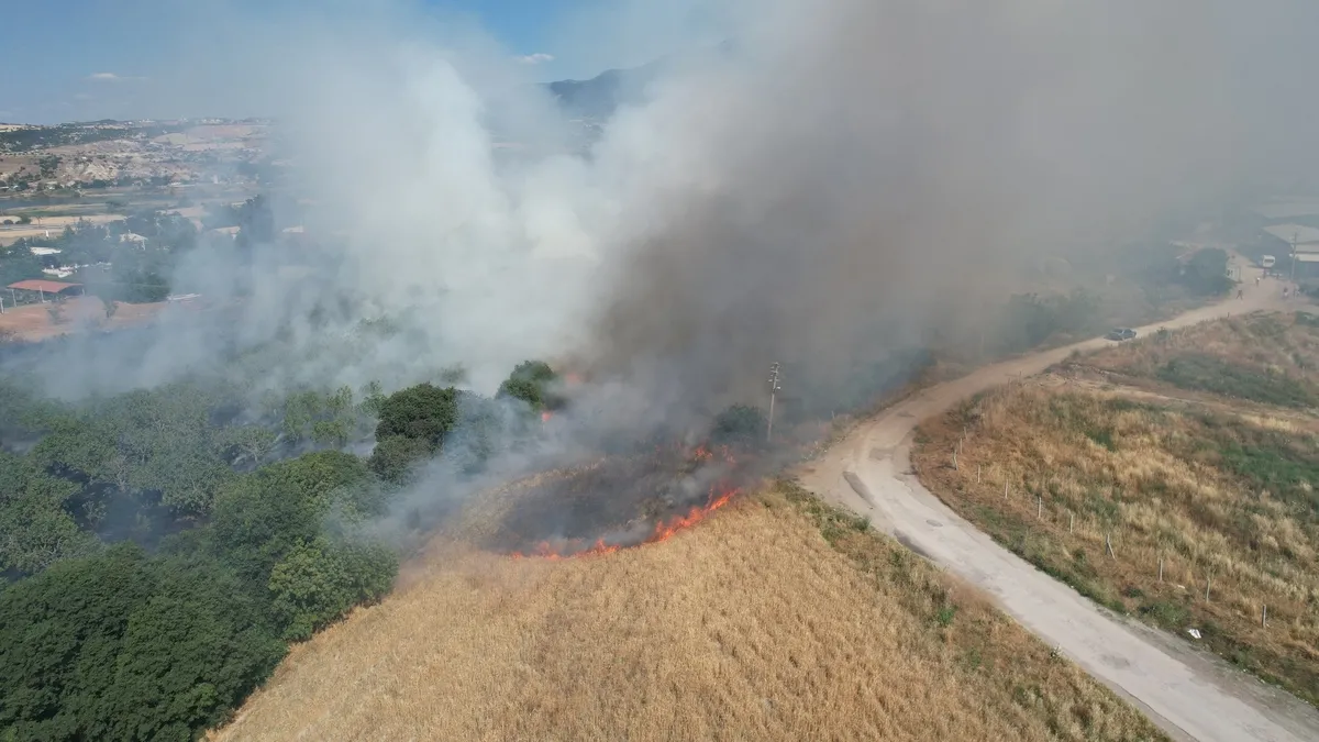 İncir bahçesindeki yangın korkuya neden oldu