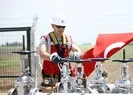 Günde 500 bin varil petrol üretilecek