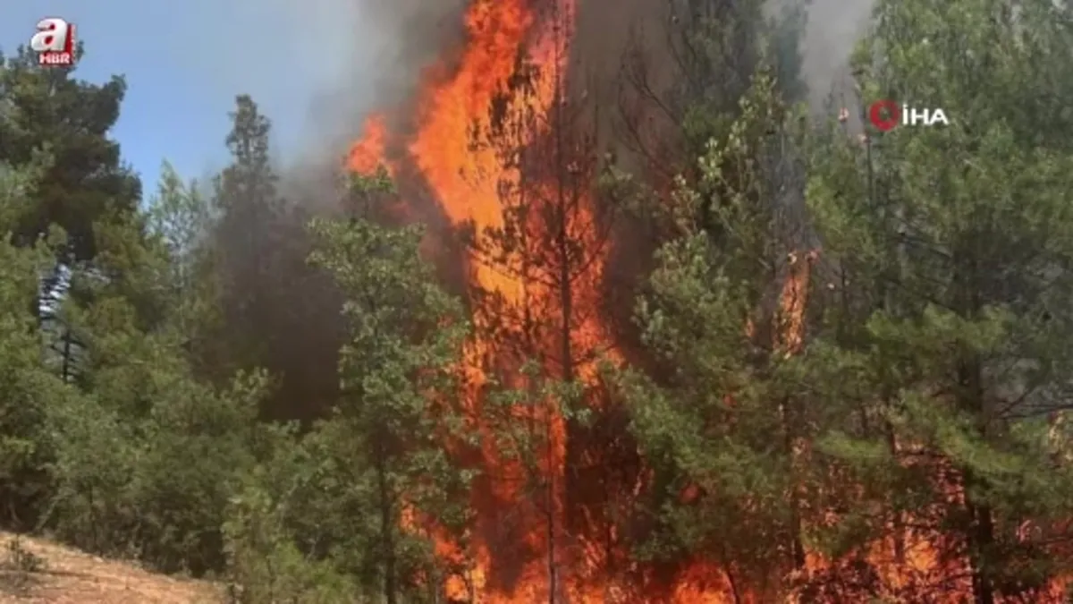 Denizli'de saman basma makinasından başlayan yangın kısa sürede kontrol altına alındı
