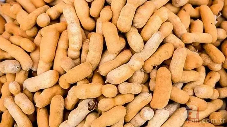 İbn-i Sina'nın 1000 yıllık şifa reçetesinden çıktı! Şeker hastalarına doğal ilaç... 6