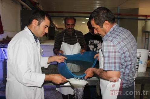 Balık sağımı başladı, hedef 5 milyon balık 5