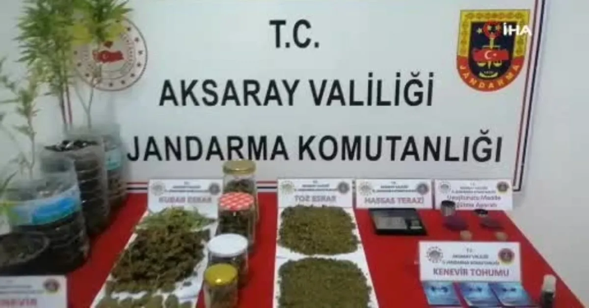 Jandarmanın suçüstü yaptığı uyuşturucu taciri tutuklandı