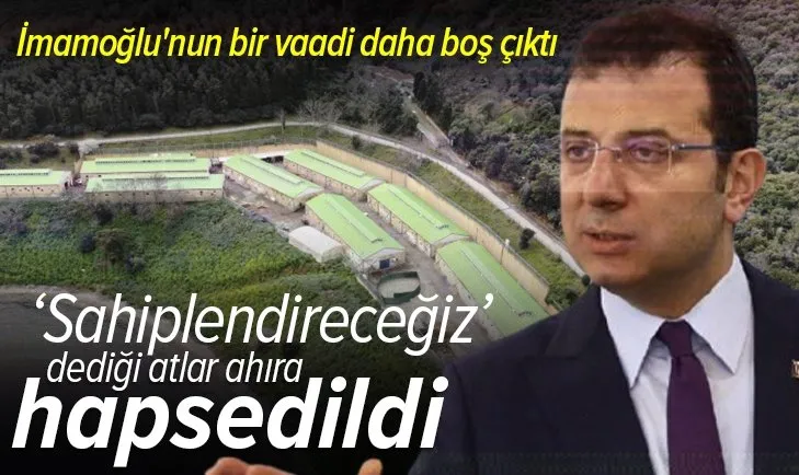 CHP'li İBB Başkanı İmamoğlu'nun bir vaadi daha boş çıktı! 'Sahiplendireceğiz' dediği atlar ahıra hapsedildi