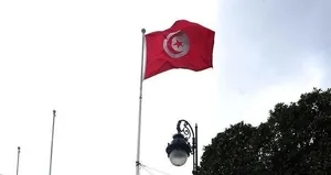 Tunus’ta iki hafif uçak düştü: 2 ölü 2 yaralı