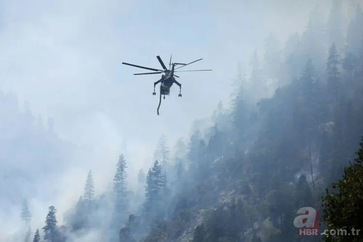 ABD'de dev orman yangını! 85 kilometrekarelik alan alevlere teslim 9