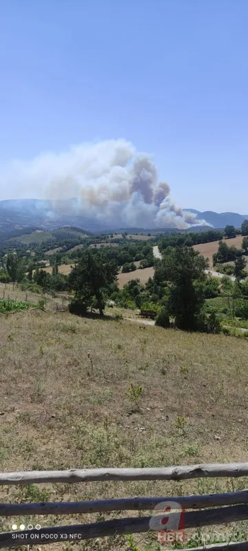 Balıkesir Kepsut'ta orman yangını! Havadan ve karadan müdahale ediliyor 2