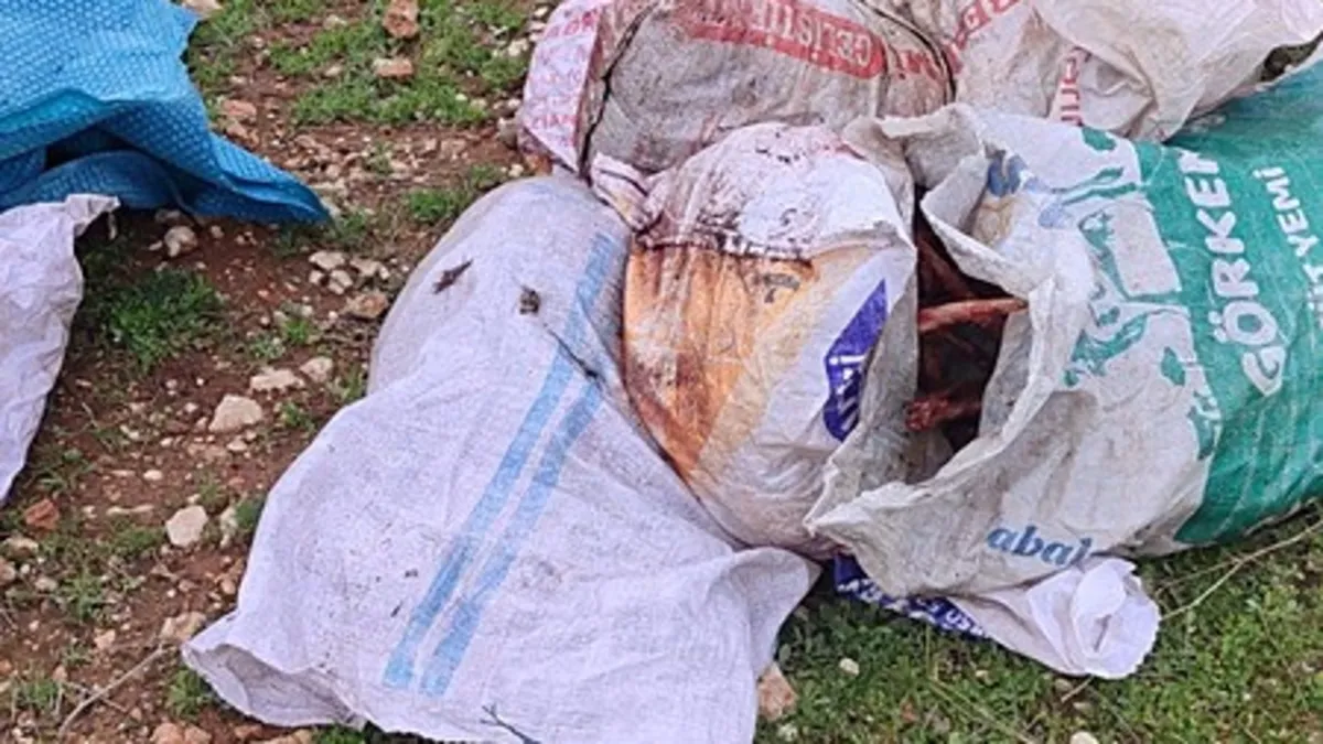 Şanlıurfa'da çuval içinde kesilmiş at başı bulundu