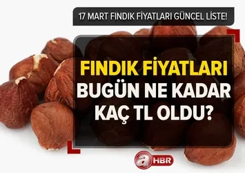 18 Mart 2023 fındık fiyatları bugün ne kadar, kaç TL oldu? Güncel fiyat listesi! Giresun, Ordu, Düzce...
