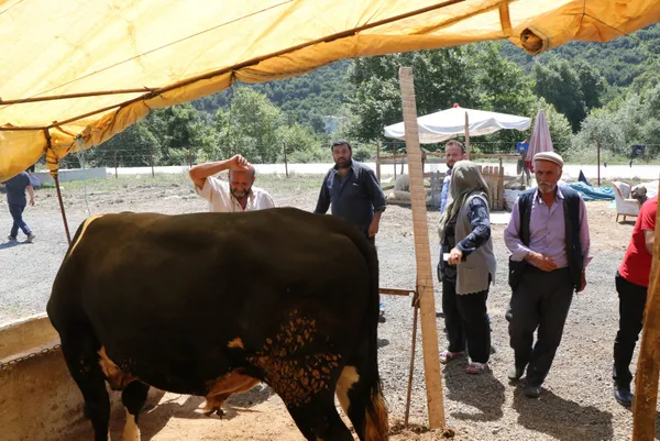 et-ve-sut-kurumundan-kurban-alim-aciklamasi-1657525591173.jpg Et ve Süt Kurumu'ndan 'kurban alım' açıklaması! - 4