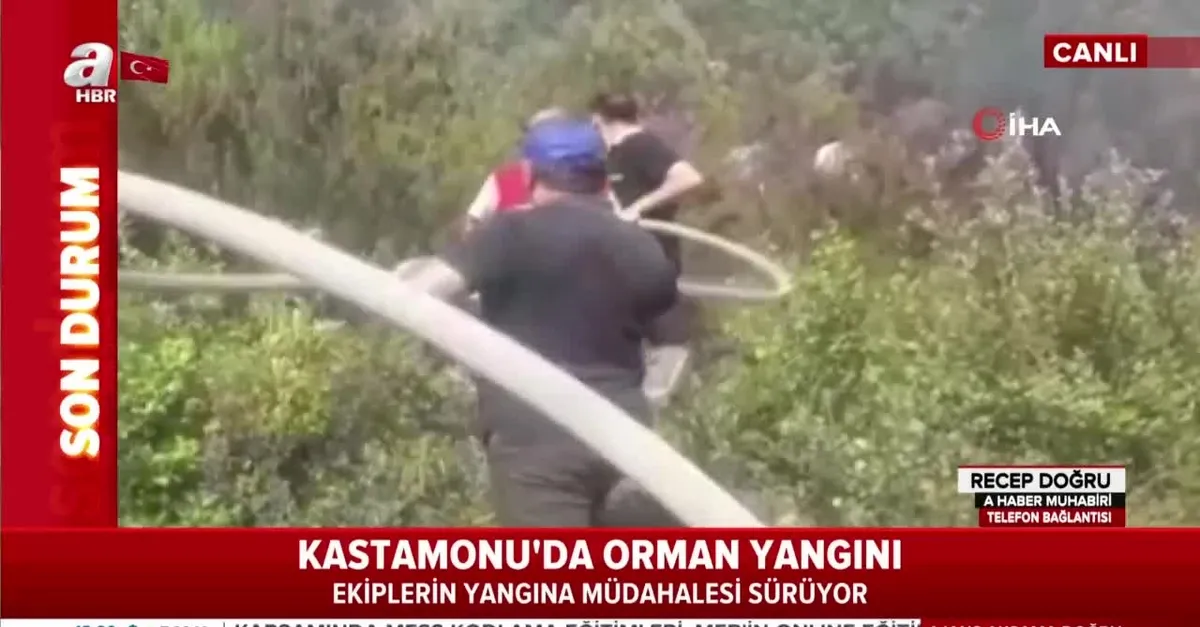 Kastamonu'da orman yangını! İlk görüntüler