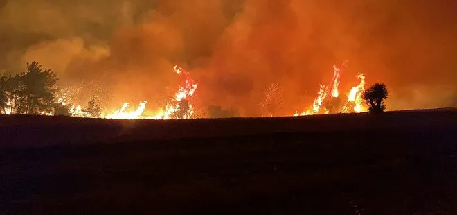 Çanakkale’deki yangınla ilgili çileden çıkaran paylaşım: Gün batımını izleyemiyorum