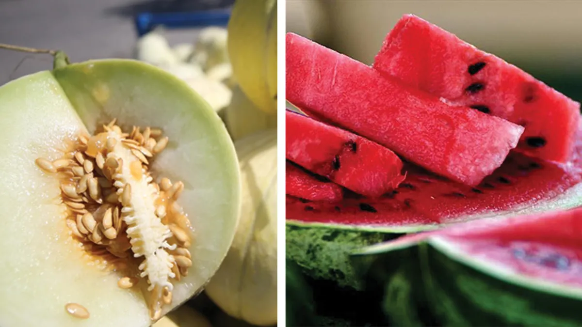 Kavun ve karpuz çekirdeğini sakın çöpe atmayın! Yıllardır bu mucize faydasını kimse bilmiyordu