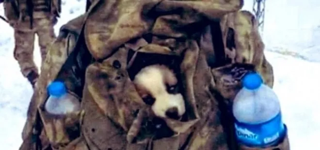 Mehmetçik yavru köpeği çantasında taşıdı