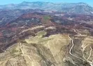 Manavgat nasıl yeşillendi?
