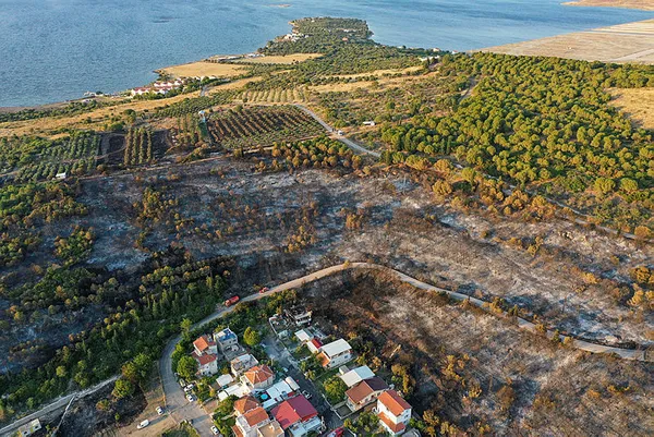 Son dakika | İzmir'deki orman yangınından acı haber! Alev kapanlarına müdahale eden orman işçisi Mustafa Gürpınar şehit oldu - 1
