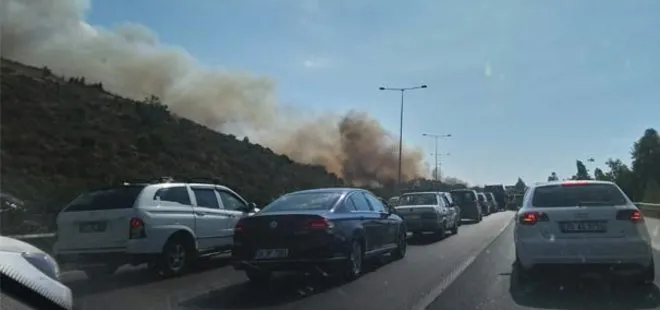 İzmir’de otoyol kenarında yangın!