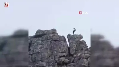 Görüntüler Diyarbakır’dan!