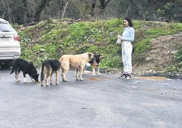 Sokak hayvanlarını unutmadı! Burcu Kıratlı'dan alkışlanacak hareket!