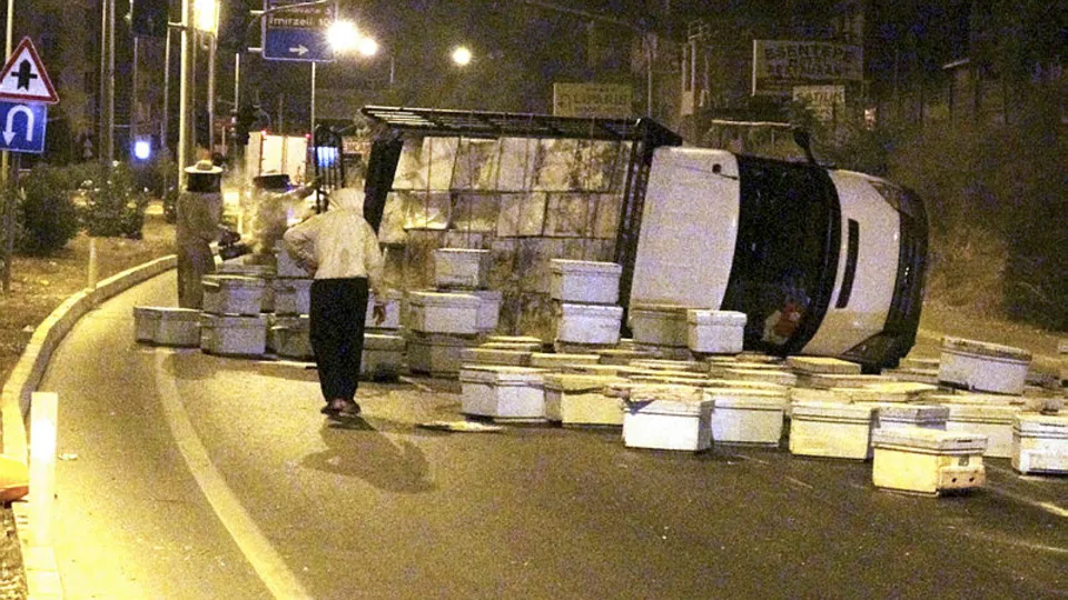 Mersin'de kızgın arılar yolu trafiğe kapadı! Kimse yaklaşamadı