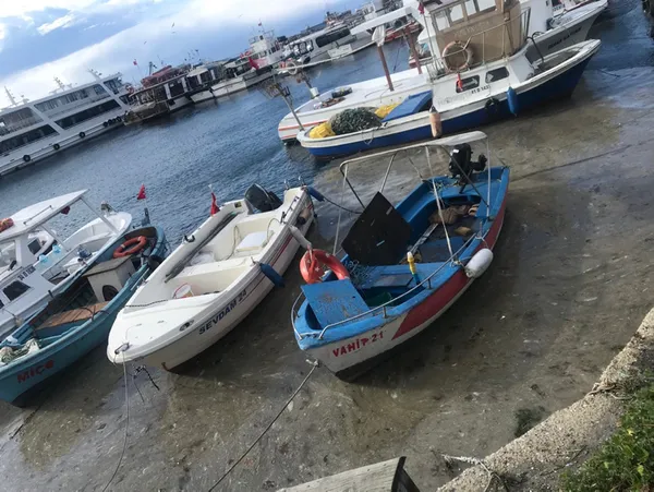 Marmara Denizi'ndeki korkunç manzaranın nedeni belli oldu - 3