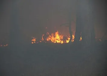 Kaz Dağları’nda yangın!