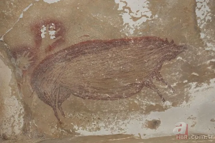 45 bin 500 yıl önce çizildi! Dünyanın en eski resmi bakın hangi hayvan çıktı