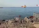 Denizden çıktı! Görenler hayrete düştü