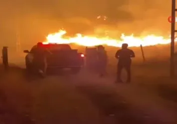 Muş'ta çıkan orman yangınları söndürüldü