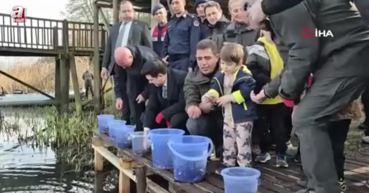 10 bin balık tarihi göl ile buluştu