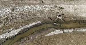 Kazandere Barajı kuruma noktasına geldi