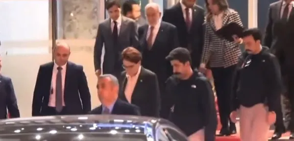 CHP’liler Meral Akşener’i karga ilan etti: Besle oysun gözünü